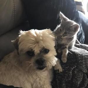 Meet your Posher, Julie